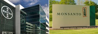Conhecida no Brasil nos anos 60 pelo slogan "se é Bayer é bom", a fabricante de medicamentos e agroquímicos decretou oficialmente a extinção da marca Monsanto, depois de comprar a empresa norte-americana por US$ 63 bilhões; a Bayer continuará produzindo, no entanto, toda a linha de agrotóxicos que transformaram a Monsanto no alvo número 1 dos ambientalistas