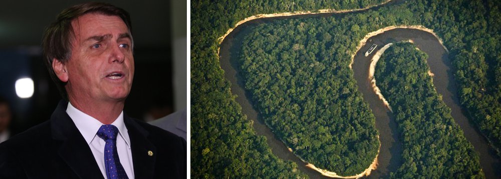 bolsonaro amazonia
