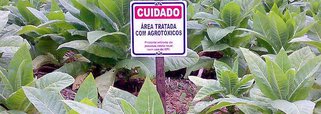 Para alívio dos brasileiros que não querem mais agrotóxicos nos alimentos e na água que bebem e decepção dos deputados da bancada ruralista e dos fabricantes, o "Pacote do Veneno" não foi votado nesta quarta-feira (16); maioria na composição da Comissão Especial que analisa 27 projetos de lei compilados no relatório de Luiz Nishimori (PR-PR), que pretende facilitar ainda mais o registro, venda e utilização desses produtos, os ruralistas se mostraram acuados em toda a reunião, que durou três horas