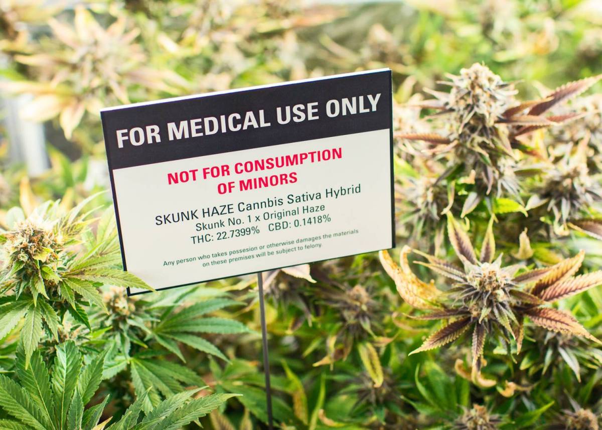 O mercado canadense de maconha, que será totalmente regularizado em breve, realizou sua maior transação de sua história com a aquisição da MedReleaf pela Aurora Cannabis, que atuam no uso da cannabis com fins medicinais; transação foi da ordem de US$ 2,5 bilhões; atualmente o uso medicinal da maconha já foi regulamentado em 21 países e a discussão sobre a liberação para fins recreativos é crescente; Canadá deverá liberar o consumo recreativo da erva em julho