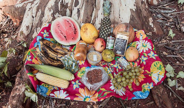 Um dos objetivos da terceira edição da Feira Nacional da Reforma Agrária é abrir o diálogo com a sociedade e derrubar mitos; um deles é que a produção orgânica e agroecológica é cara; a reportagem do Brasil de Fato caminhou pelo evento com um objetivo: comprar produtos diversos, de todas as regiões do país, e gastar no máximo R$ 50,00