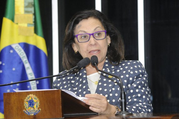 A iniciativa da senadora Lídice da Mata (PSB-BA) prevê que nenhum serviço controlado pelo governo tenha reajuste anual maior do que a inflação medida pelo IPCA, calculado pelo IBGE, acumulado nos doze meses que antecedem ao reajuste; para ela, esta é uma regra simples e que, ao ser aprovada, deverá ser eficaz para garantir que as autoridades públicas favoreçam apenas aos interesses da maioria da população"