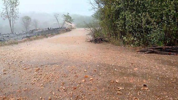 O mês de abril começou com chuva em todas as regiões do Ceará. Três municípios, registraram precipitações acima de 100 mm: Caririaçu - 134.0 mm; Várzea Alegre - 114.0 mm; Granjeiro - 110.0 mm. Segundo a Funceme, a previsão para hoje é de nebulosidade variável com eventos de chuva em todas as regiões do estado