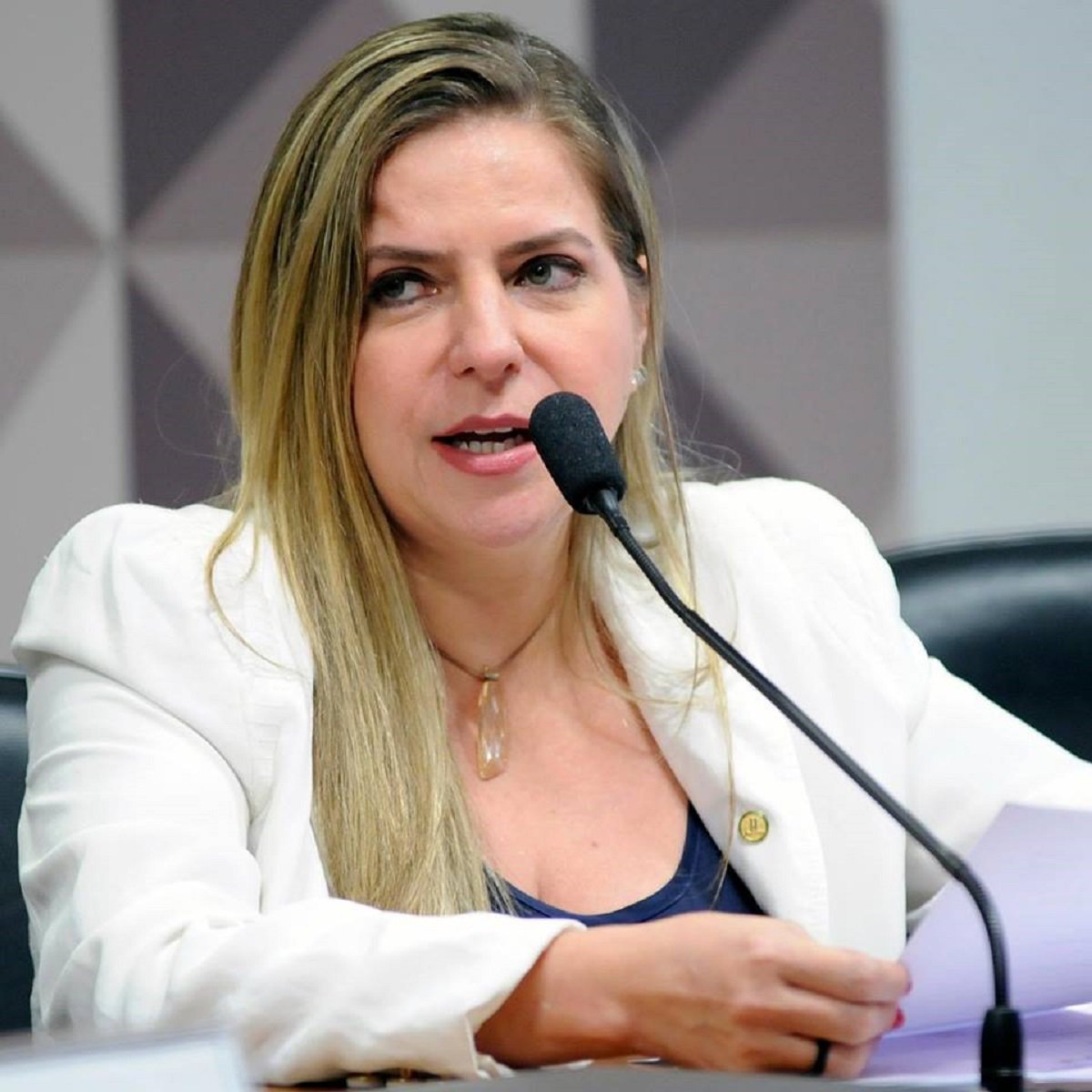Manifestando o sentimento coletivo de indignação e revolta dos apoiadores do ex-presidente Luis Inácio Lula da Silva com a decisão de ontem do Supremo Tribunal Federal (STF), que negou o Habeas Corpus a Lula e abriu caminho para a decretação de sua prisão, a deputada federal Luizanne Lins (PT-CE) criticou o resultado do julgamento. "Justiça não é perseguição política! Passaram por cima da Constituição"
