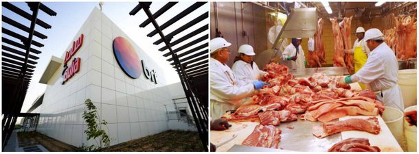 Quatro fábricas da BRF fraudaram laudos sobre a presença da bactéria salmonela em alimentos a fim de garantir a exportação de seus produtos, de acordo com investigação de nova fase da Operação Carne Fraca; são três fábricas para consumo humano e uma que produz ração: de Carambeí (PR) e de Rio Verde (GO), que produzem frango; de Mineiros (GO), que produz peru; e de Chapecó (SC), que fabrica ração; segundo a Operação Carne Fraca, foi apontada fraude nos laudos emitidos para exportação a 12 países que exigem requisitos sanitários específicos de controle da bactéria do tipo salmonela spp