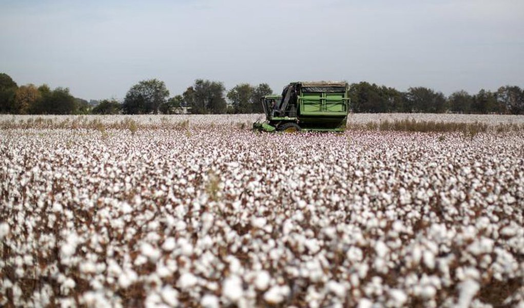 O Índice Geral de Preços-Disponibilidade Interna (IGP-DI) terminou 2017 com deflação de 0,42% após alta de 7,18% registrada no ano anterior, diante da queda dos preços dos produtos agropecuários no atacado e dos alimentos no varejo; Os dados divulgados pela Fundação Getulio Vargas (FGV) mostram que em dezembro o indicador desacelerou a alta a 0,74% ante 0,80% no mês anterior, abaixo da expectativa em pesquisa da Reuters de avanço de 0,81%