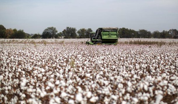 O Índice Geral de Preços-Disponibilidade Interna (IGP-DI) terminou 2017 com deflação de 0,42% após alta de 7,18% registrada no ano anterior, diante da queda dos preços dos produtos agropecuários no atacado e dos alimentos no varejo; Os dados divulgados pela Fundação Getulio Vargas (FGV) mostram que em dezembro o indicador desacelerou a alta a 0,74% ante 0,80% no mês anterior, abaixo da expectativa em pesquisa da Reuters de avanço de 0,81%