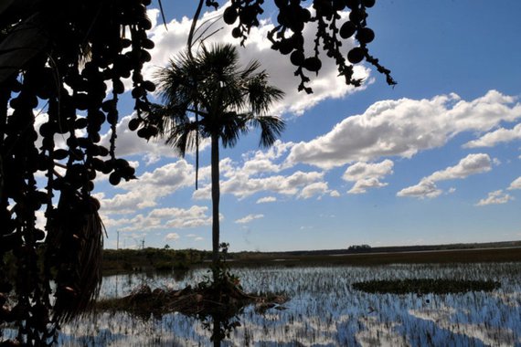 O objetivo é incentivar o aperfeiçoamento dos colegiados por meio de repasses financeiros condicionados ao alcance de metas de gerenciamento de recursos hídricos; cada um dos comitês poderá receber até R$ 50 mil por ano