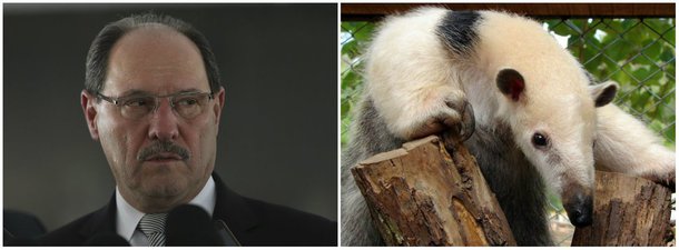 O Diário Oficial do Estado do Rio Grande do Sul publicou decreto do governador do José Ivo Sartori (PMDB) alterando um decreto que declara as espécies da fauna silvestre ameaçadas de extinção no RS; a revisão da lista, que era feita pela Fundação Zoobotânica, passará para um grupo de trabalho que será criado na Secretaria do Ambiente e Desenvolvimento Sustentável, com a “participação de representantes de universidades e de instituições de pesquisa em biodiversidade”; essa revisão, feita de quatro em quatro anos, passará a ocorrer de dois em dois anos; as regras para a elaboração da lista serão definidas pelo Conselho Estadual do Meio Ambiente (Consema)