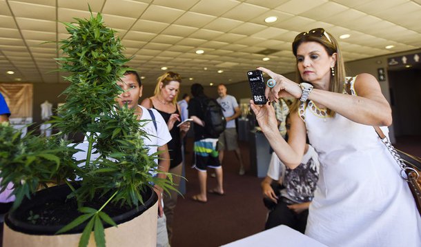 Nos dias 12 e 13 de janeiro o famoso balneário uruguaio receberá pela primeira vez a Cannabis Conference, um evento internacional sobre as novidades da cannabis e suas aplicações na medicina, tecnologia, inovação e indústria; o evento nasce a partir da necessidade de mais informação relevada na última edição de sucesso da Expocannabis Uruguay (8, 9 e 10 de dezembro de 2017) e se apresenta com uma proposta de grande qualidade para turistas e uruguaios interessados no tema
