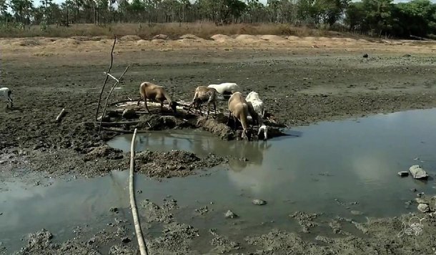 O maior açude do país, o Castanhão, segue sem aumento no seu volume de água; o reservatório tem 2,16% da sua capacidade máxima e alcançou, pela primeira vez, o volume morto em dezembro de 2017; monitorados pela Companhia de Gestão dos Recursos Hídricos (Cogerh) e com capacidade total de armazenamento de 18,63 bilhões m³, os reservatórios do Ceará têm volume de água de apenas 6,63%