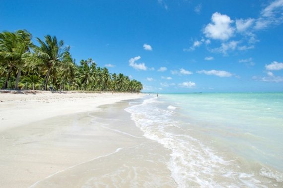 Segundo a pesquisa Travelers Choice 2018, da TripAvisor, a praia de Antunes, em Maragogi, ficou em 9º lugar no ranking; Milagres, em São Miguel dos Milagres, em 12º lugar e o Gunga, em Roteiro, em 16º na classificação; levantamento é feito com base no relato da experiência dos usuários do site que visitam o local e avaliam critérios como as características do lugar, limpeza da água, facilidade de acesso, satisfação dos clientes e rede de bares, restaurantes e hotéis
