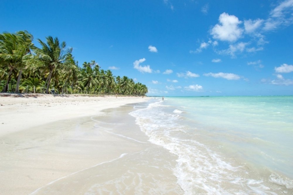 Segundo a pesquisa Travelers Choice 2018, da TripAvisor, a praia de Antunes, em Maragogi, ficou em 9º lugar no ranking; Milagres, em São Miguel dos Milagres, em 12º lugar e o Gunga, em Roteiro, em 16º na classificação; levantamento é feito com base no relato da experiência dos usuários do site que visitam o local e avaliam critérios como as características do lugar, limpeza da água, facilidade de acesso, satisfação dos clientes e rede de bares, restaurantes e hotéis