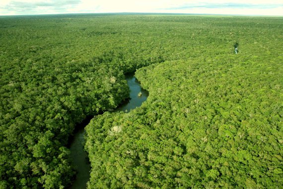 A Amazônia Azul, o mar territorial brasileiro, onde se encontram o pré-sal e quase a totalidade de nossas reservas de petróleo, pode ser estimada em 7,5 trilhões de USD (barril a US$ 50). Ao optar pelo Ministério da Segurança Pública, ao invés de um Ministério da Amazônia, estaremos dando a prova de buscar a farsa à verdade, o ganho estrangeiro ao desenvolvimento brasileiro
 