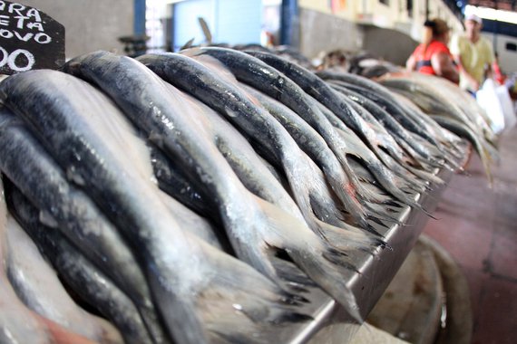 O Ministério da Agricultura, Pecuária e Abastecimento suspendeu temporariamente a exportação de pescado para a União Europeia; medida preventiva entra em vigor no início de janeiro e será acompanhada de um plano de ação para responder aos questionamentos apresentados depois da missão de auditoria dos europeus em solo brasileiro, ocorrida em setembro de 2017; decisão foi tomada pelo Ministério para evitar a possível suspensão unilateral por parte da União Europeia