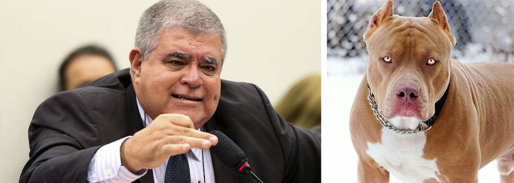Se o governo não quer que a agressividade de Carlos Marun produza efeitos contrários ao esperado, é o caso de exigir que o “pitbull” se comporte civilizadamente, aponta editorial do jornal dos Mesquita, que defende a reforma da Previdência