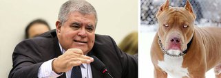 Se o governo não quer que a agressividade de Carlos Marun produza efeitos contrários ao esperado, é o caso de exigir que o “pitbull” se comporte civilizadamente, aponta editorial do jornal dos Mesquita, que defende a reforma da Previdência