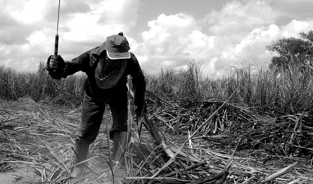 Informações da Agência Estadual de Planejamento e Pesquisas (Condepe/Fidem) apontam que o PIB de Pernambuco acumula uma alta de 2,1% nos nove primeiros meses deste ano, acima do nacional (0,6%); o estado projeta um crescimento de 2,3% este ano, enquanto o mercado projeta um crescimento de no máximo 1% para a economia brasileira em 2017; a agropecuária foi um principal setor responsável pelo crescimento do PIB estadual, com alta 16,1%; o setor cresceu 20,1% no terceiro trimestre deste ano, período em que o setor de serviços teve um incremento de 2,2%; o setor cresceu 20,1% no terceiro trimestre deste ano, período em que o setor de serviços teve um incremento de 2,2%, e a indústria caiu mais 4,8% no terceiro trimestre