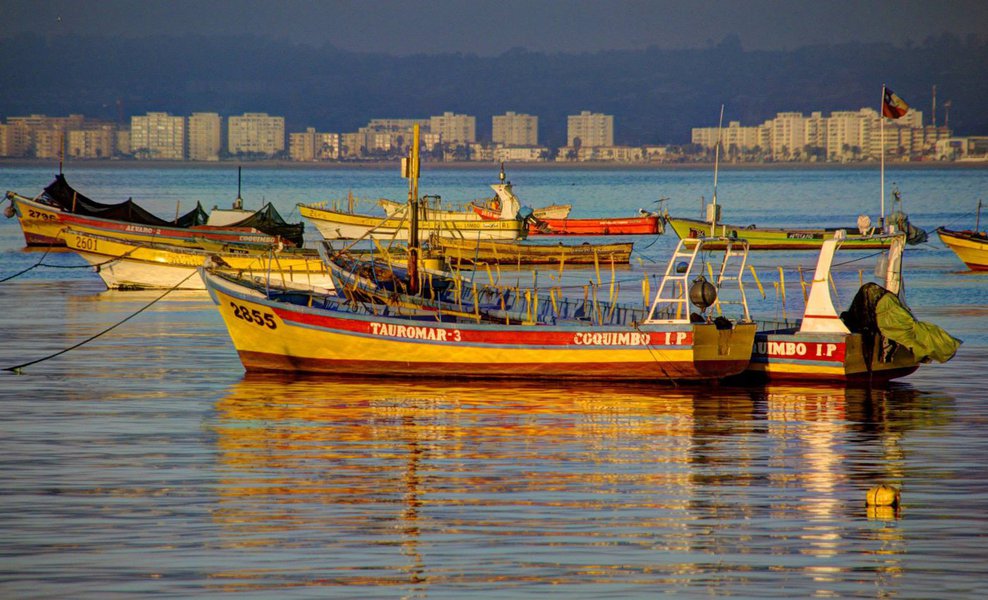 Representantes do setor da Pesca no Ceará irão a Brasília, na próxima semana, defender a revogação ou alteração da Portaria nº 78, de 29 de dezembro de 2017, que normatiza a pesca em águas continentais do Nordeste, que pode acabar com o seguro-defeso. O secretário da Agricultura, Pesca e Aquicultura do Ceará, Euvaldo Bringel, criticou a medida do Planalto. “Quando o pescador fica sem pescar três meses, ele tem uma indenização. No momento que libera o pescador para pescar, acaba o seguro-defeso. Eles vão dizer que tem alternativa de pesca, mas ela não existe”, explicou