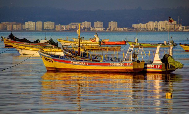 Representantes do setor da Pesca no Ceará irão a Brasília, na próxima semana, defender a revogação ou alteração da Portaria nº 78, de 29 de dezembro de 2017, que normatiza a pesca em águas continentais do Nordeste, que pode acabar com o seguro-defeso. O secretário da Agricultura, Pesca e Aquicultura do Ceará, Euvaldo Bringel, criticou a medida do Planalto. “Quando o pescador fica sem pescar três meses, ele tem uma indenização. No momento que libera o pescador para pescar, acaba o seguro-defeso. Eles vão dizer que tem alternativa de pesca, mas ela não existe”, explicou