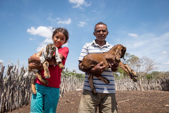 Inclusão socioprodutiva e acesso a mercados para mais de 17 mil famílias de agricultores baianos; este é o resultado do primeiro ciclo de investimento do projeto Bahia Produtiva, executado pela Companhia de Desenvolvimento e Ação Regional (CAR), empresa pública vinculada à Secretaria de Desenvolvimento Rural (SDR); no total, já foram aplicados R$ 163,7 milhões, contemplando 502 ações para agricultura familiar, nos 27 Territórios de Identidade do estado
