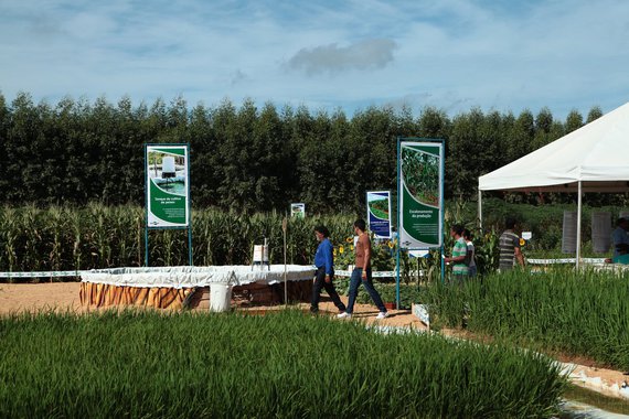 O Sindicato Nacional dos Trabalhadores de Pesquisa e Desenvolvimento Agropecuário – Embrapa Aracaju (Sinpaf), critica diretores da empresa por prática antissindical; denunciado pelos servidores públicos da empresa por perseguição e assédio moral aos trabalhadores e trabalhadoras terceirizados, um funcionário que faz parte da direção da Embrapa, com cargo de supervisor, entrou na Justiça contra o Sinpaf e teve ganho de cuasa; "condenação sofrida por decisão da Turma Recursal de Sergipe decorrente da judicialização de uma situação que vem ocorrendo há dois anos, onde o SINPAF exerceu seu papel sindical de defesa de um ambiente de trabalho que respeite os direitos de todos e todas e um mínimo de humanização das relações de trabalho", reclama nota do sindicato