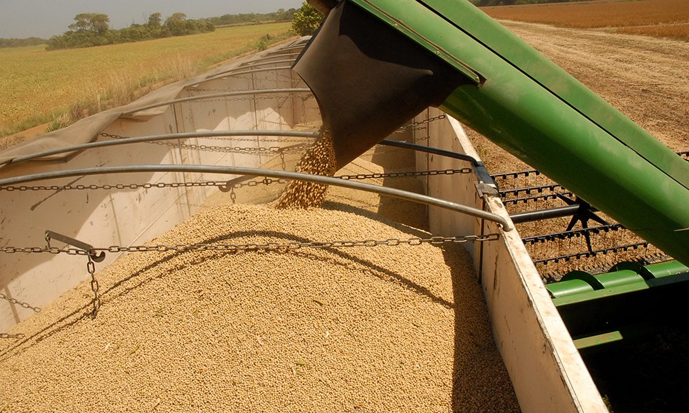 As perspectivas do cenário da produção de grãos no país, com ênfase no Tocantins, serão debatidas durante o evento Abertura Oficial do Plantio da Safra de Grãos no Estado - Safra 2017/2018; encontro, que ocorre anualmente, levará informações aos produtores por meio de palestras técnicas, sobre o sistema integrado lavoura pecuária, previsões climáticas e de mercado da soja