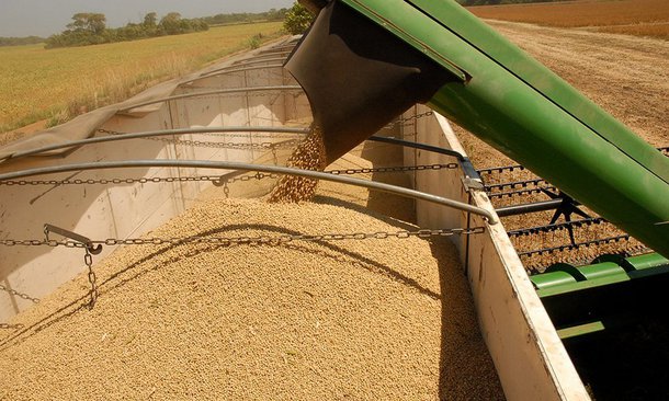 As perspectivas do cenário da produção de grãos no país, com ênfase no Tocantins, serão debatidas durante o evento Abertura Oficial do Plantio da Safra de Grãos no Estado - Safra 2017/2018; encontro, que ocorre anualmente, levará informações aos produtores por meio de palestras técnicas, sobre o sistema integrado lavoura pecuária, previsões climáticas e de mercado da soja