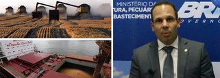 Uma instrução normativa do Ministério da Agricultura, Agropecuária e Abastecimento altera uma regra que dificultava a entrada do trigo com determinadas pragas sujeitas a quarentenas, como ervas daninhas; mas de acordo com o secretário de Defesa Agropecuária do ministério, Luis Rangel, isso só será possível "desde que a presença seja informada pelos russos e sejam adotadas medidas contundentes de mitigação dos riscos no Brasil”; a informação será feita no Certificado Fitossanitário Internacional