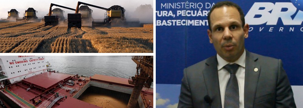 Uma instrução normativa do Ministério da Agricultura, Agropecuária e Abastecimento altera uma regra que dificultava a entrada do trigo com determinadas pragas sujeitas a quarentenas, como ervas daninhas; mas de acordo com o secretário de Defesa Agropecuária do ministério, Luis Rangel, isso só será possível "desde que a presença seja informada pelos russos e sejam adotadas medidas contundentes de mitigação dos riscos no Brasil”; a informação será feita no Certificado Fitossanitário Internacional