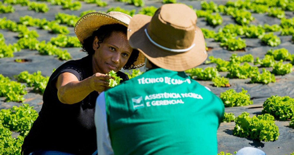 A governadora em exercício Margarete Coelho aprovou o Plano de Cargos, Carreira e Vencimentos dos servidores da Agência de Defesa Agropecuária do Piauí (Adapi) e da Empresa de Assistência Técnica e Extensão Rural (Emater); fruto de dois anos de diálogos e negociações, o projeto foi encaminhado à Assembleia Legislativa; vindo em um período alusivo, a aprovação do projeto pelo governo é comemorada na data próxima ao Dia do Extensionista Rural, comemorado no dia seis de dezembro