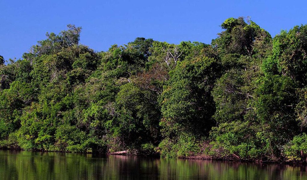 Dados divulgados pelo Instituto Nacional de Pesquisas Espaciais (Inpe) apontam que o Tocantins reduziu em 55% a ação de desmatamento, sendo a unidade federativa que mais diminuiu essa prática entre os nove estados que compõem a Amazônia Legal. As informações referentes aos meses entre agosto de 2016 e julho de 2017; Tocantins lidera a lista com a redução de desmatamento, seguido por Roraima, que teve uma baixa de 43% no desflorestamento, e em 3° lugar ficou o Acre, que conseguiu uma diminuição de 34%