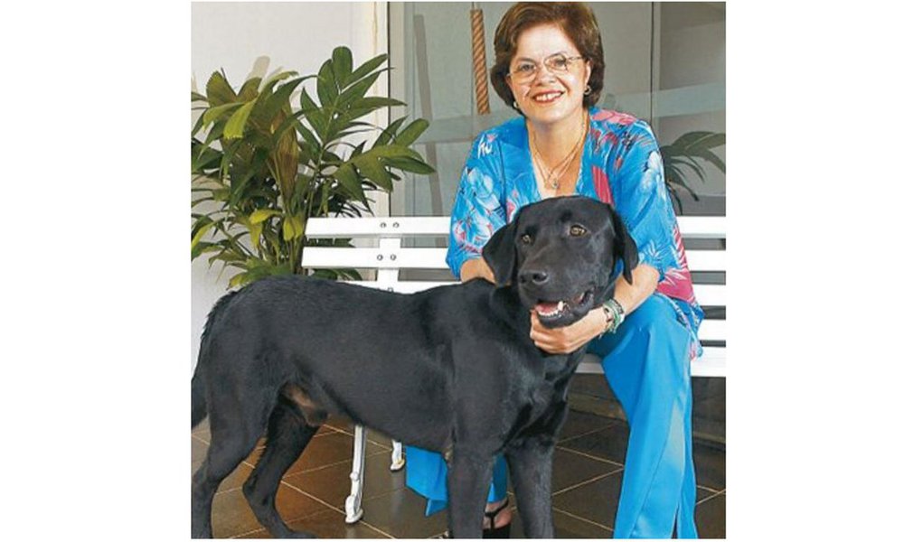 Jornalista Fernando Brito diz que é inacreditável que a presidente deposta Dilma Rousseff tenha de publicar uma nota esclarecendo a morte de seu animal de estimação, um cachorro labrador de 12 anos de idade; "É a este ponto que chegou o Estado Policial no Brasil. Criminalizar, por conveniência política, um gesto doloroso que dezenas de milhares de pessoas já tiveram de autorizar para seu animal de estimação. Aqui, a Justiça não se entregou ao autoritarismo. Entregou-se também ao ridículo", diz Brito