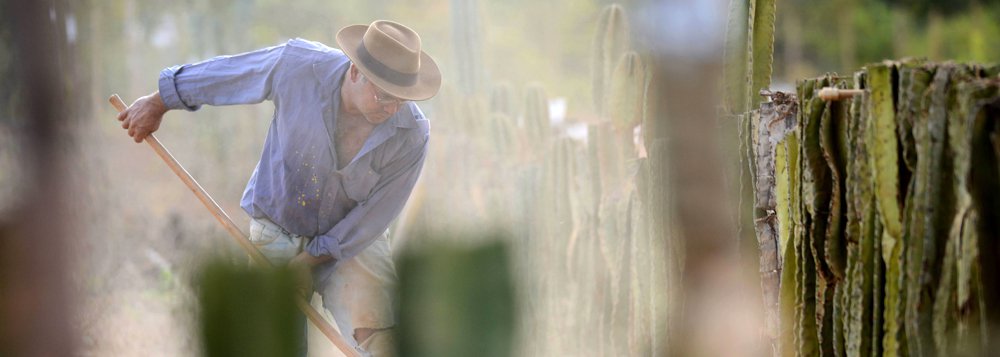 Agricultores familiares dos 168 municípios que compõem a área mineira da Sudene têm até o próximo dia 30 de setembro para fazer adesão ao programa; nessa mesma data, encerra-se o prazo para que as prefeituras municipais manifestem interesse em participar do seguro; o Garantia Safra é um programa federal que funciona como seguro pago a agricultores familiares com perdas de mais de 50% da safra devido à seca ou excesso hídrico