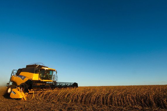 Impulsionada pela agropecuária, a economia de Goiás segue demonstrando força; de janeiro a setembro deste ano, o PIB subiu três vezes mais que a média brasileira, no comparativo com o mesmo período de 2016: 1,9%, diante de 0,6%, respectivamente; as estimativas do PIB trimestral goiano são calculadas pelo Instituto Mauro Borges de Estatísticas e Estudos Socioeconômicos (IMB), da Secretaria de Gestão e Planejamento (Segplan); em valores correntes, para o acumulado dos três primeiros trimestres deste ano, o IMB/Segplan estima que em Goiás as riquezas produzidas atingiram R$ 139,53 bilhões e mostra que está ocorrendo um aumento gradativo desses valores a cada três meses