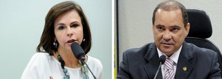 O senador Vicentinho (PR-TO) afirmou que existe um acordo de bancada que um ano o comando fica por conta da Câmara dos Deputados e no outro, do Senado Federal, ou vice-versa; em 2018, será a vez de a Câmara assumir e Vicentinho defende que a bancada deve apoiar a deputada Dorinha (DEM) para o cargo; “O próximo ano será Câmara e nós sugerimos e apoiamos a deputada federal professora Dorinha”, disse ele