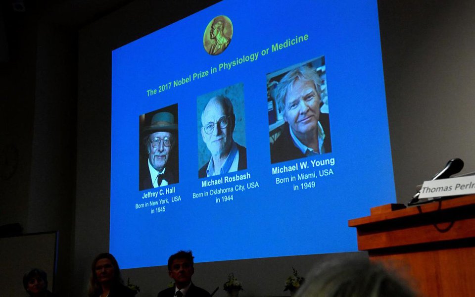 Cientistas norte-americanos Jeffrey Hall, Michael Rosbash e Michael Young receberam o prêmio Nobel de Medicina de 2017 por suas descobertas de mecanismos moleculares que controlam nossos relógios biológicos; mecanismos ajudam a explicar, por exemplo, por que pessoas que viajam longas distâncias ao longo de vários fusos horários costumam sofrer de jet lag, e têm implicações mais abrangentes para a saúde, como o risco maior de ter certas doenças
