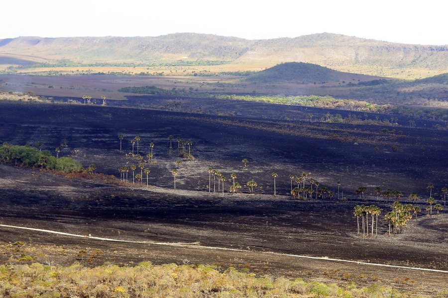 Diante de informações de que o incêndio na Chapada dos Veadeiros, em Goiás, é criminoso, o Ministério Público Federal (MPF) em Luziânia (GO) cobrou esclarecimentos da Polícia Federal, do Parque Nacional da Chapada dos Veadeiros e do município de Alto Paraíso de Goiás; eles terão prazo de cinco dias para encaminhar informações ao MPF relacionadas ao incêndio; as informações serão prestadas no inquérito civil para apurar as causas ou o que contribuiu para o início ou avanço do incêndio de grandes proporções que ocorre no Parque Nacional, instaurado ontem (26)