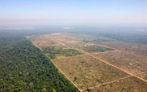 Os valores dizem respeito a quatro projetos: a redução da Floresta Nacional de Jamanxim (PA), a perda de arrecadação com a chamada MP 759 – a chamada Lei da Grilagem, que trata da regularização de imóveis na Amazônia, incluindo frutos de apropriação ilegal -, a MP 793, que concedeu alívio de dívidas para ruralistas, e as emendas destinadas a parlamentares que integram as bancas, aponta reportagem do Sul 21