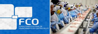O Conselho de Desenvolvimento do Estado, do Fundo Constitucional do Centro-Oeste (CDE/FCO), aprovou 34 cartas-consulta de financiamento para implantação de projetos dos setores empresarial e rural em Goiás; os investimentos alcançam R$ 440,9 milhões, com previsão de 777 novos empregos diretos; um dos projetos é da indústria São Salvador Alimentos S.A, que apresentou ao conselho projeto de ampliação da sua capacidade de abate, com aporte financeiro de quase R$ 180 milhões, na unidade da Super Frango de Itaberaí; com a implantação do projeto serão gerados 250 empregos diretos