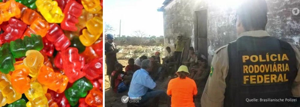 Após denúncias de que sua unidade no Brasil utiliza matéria-prima proveniente de trabalhadores em condições análogas à escravidão, a Haribo, uma das maiores fabricantes de doces e balas da Alemanha, anunciou que irá investigar as acusações contra seus fornecedores no país; de acordo com uma rede de televisão da Alemanha, os trabalhadores não possuem roupa de proteção adequada, dormem ao relento ou em contêineres, além de não terem acesso a água filtrada ou banheiros; "As condições em plantações brasileiras são insuportáveis", disse a Haribo em um comunicado