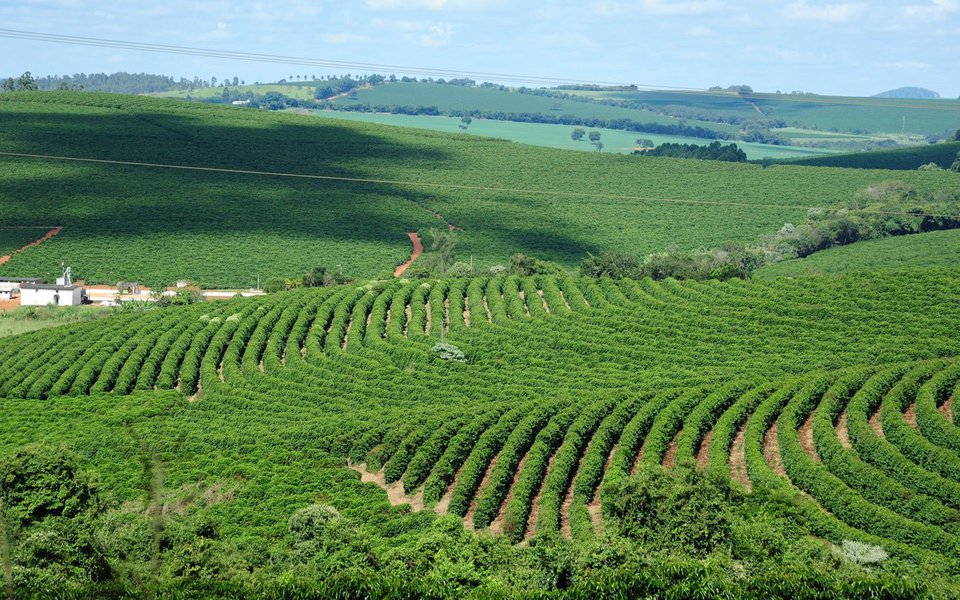 As exportações totalizaram US$ 5,3 bilhões no período de janeiro a agosto deste ano; o segmento contribuiu com 31% do total da pauta mineira de exportações no período; o café, principal produto da pauta de exportações do agronegócio, representou 41,4% do valor exportado; os dados foram analisados pela Secretaria de Agricultura, Pecuária e Abastecimento (Seapa) com base nas informações do Ministério de Desenvolvimento
 