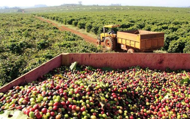 As exportações do agronegócio mineiro totalizaram US$ 6 bilhões no período de janeiro a setembro deste ano, com crescimento de 11% em relação ao mesmo período do ano passado; o segmento contribuiu com 31% do total da pauta mineira de exportações no período; o café, principal produto da pauta de exportações do agronegócio, representou 41,3% do valor total exportado pelo segmento no período de janeiro a setembro; os dados foram analisados pela Secretaria de Agricultura, Pecuária e Abastecimento (Seapa) com base nas informações do Ministério de Desenvolvimento, Indústria e Comércio Exterior (MDIC)