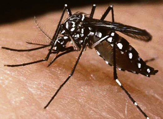 O Ministério da Saúde liberou em setembro R$ 30,4 milhões referentes à segunda parcela de recurso adicional para o combate ao mosquito Aedes aegypti; 3.148 municípios em 20 estados e o Distrito Federal serão beneficiados porque cumpriram critérios para intensificar as medidas de prevenção e combate ao mosquito transmissor da dengue, zika e chikungunya 