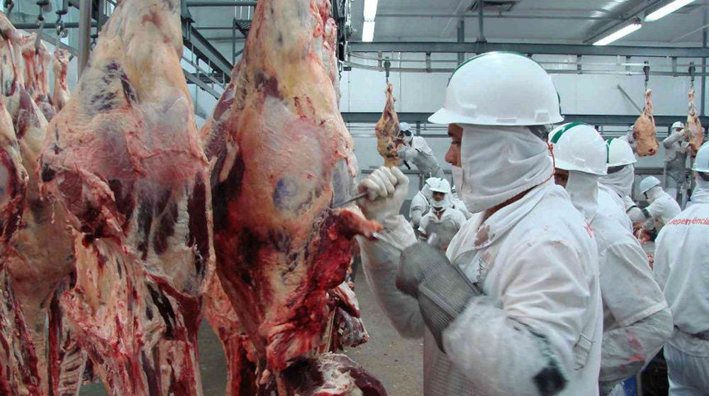 Sexto maior parceiro comercial do Tocantins, a Rússia decidiu suspender temporariamente as importações de carne bovina do frigorífico MataBoi a partir do dia 15 deste mês; o Serviço Federal de Vigilância Sanitária e Veterinária do País alega haver substâncias fora do padrão de controle adotado; a Associação Brasileira das Indústrias Exportadoras de Carnes (Abiec) avaliou que o procedimento é “normal”; a carne bovina congelada, segundo a Federação das Indústrias do Estado (Fieto), é o segundo produto mais exportado pelos tocantinenses, perdendo apenas para a soja