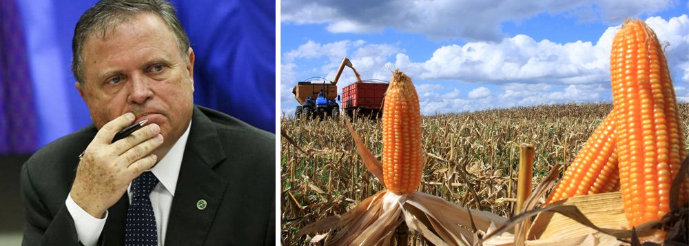 A Amaggi, empresa da família do ministro da Agricultura, Blairo Maggi, adquiriu cerca de 70% do subsídio leiloado no Prêmio de Escoamento do Produto (PEP) para subvencionar o transporte de milho, segundo dados da Companhia Nacional de Abastecimento (Conab) vistos pela Reuters; a empresa, uma das maiores do agronegócio da América Latina, arrematou prêmios para apoiar o transporte de cerca de 730 mil toneladas de milho até dia 13 de julho, de um total de pouco mais de 1 milhão de toneladas negociadas em leilões desde 4 de maio, quando o governo federal iniciou o programa