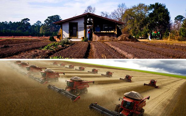 O estado do Tocantins receberá R$ 1,87 bilhão do Plano Safra 2017/2018, lançado pelo governo federal; são R$ 141 milhões para agricultura familiar, R$ 418 milhões para produtores médios e R$ 1,32 bilhão para agricultura empresarial; foram anunciados R$ 103 bilhões em financiamento para agricultura e pecuária do País