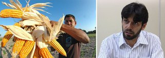 O secretário estadual de Agricultura, Esmeraldo Leal dos Santos, afirmou que a expectativa é aumentar a produção de milho de 150 mil toneladas do ano passado para 700 mil neste safra este ano, o que representa um aumento de 367%; "Tivemos cinco anos de seca. Mas choveu bastante nas últimas semanas, principalmente, no Sertão", acrescentou