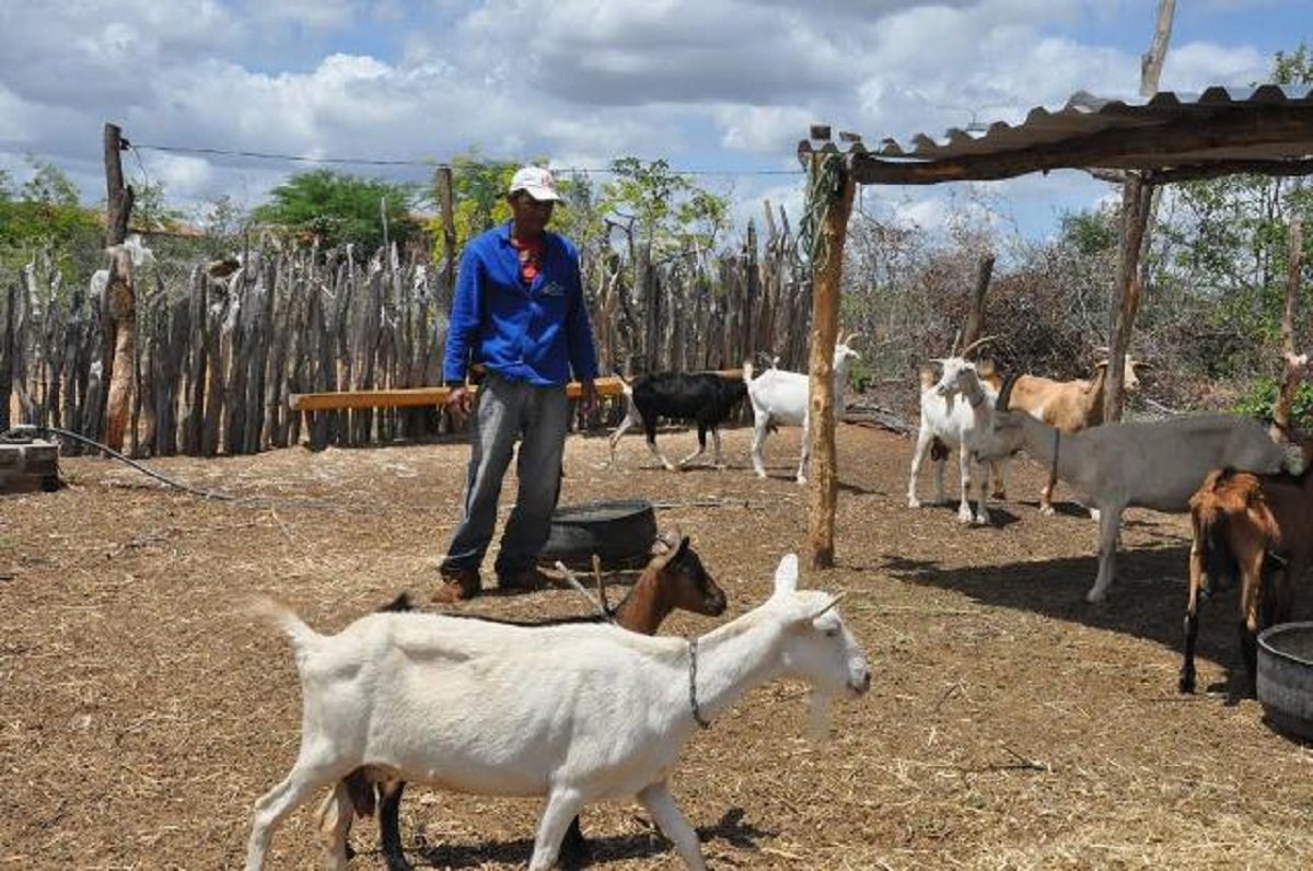 Por iniciativa do deputado estadual Moisés Braz, começou a tramitar hoje (13), na Assembleia Legislativa, projeto de lei que institui a criação da "Farmácia Veterinária Popular". A proposta prevê a implantação de estabelecimento comercial para venda subsidiada, diretamente ao consumidor na forma de varejo, de medicamentos para uso veterinário, a partir de convênio firmado com o Estado. O projeto beneficiaria os pequenos produtores familiares que muitas vezes não tem recursos para a aquisição dos produtos necessários à saúde dos animais criados em suas propriedades
 