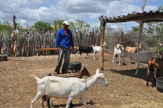 Por iniciativa do deputado estadual Moisés Braz, começou a tramitar hoje (13), na Assembleia Legislativa, projeto de lei que institui a criação da "Farmácia Veterinária Popular". A proposta prevê a implantação de estabelecimento comercial para venda subsidiada, diretamente ao consumidor na forma de varejo, de medicamentos para uso veterinário, a partir de convênio firmado com o Estado. O projeto beneficiaria os pequenos produtores familiares que muitas vezes não tem recursos para a aquisição dos produtos necessários à saúde dos animais criados em suas propriedades
 